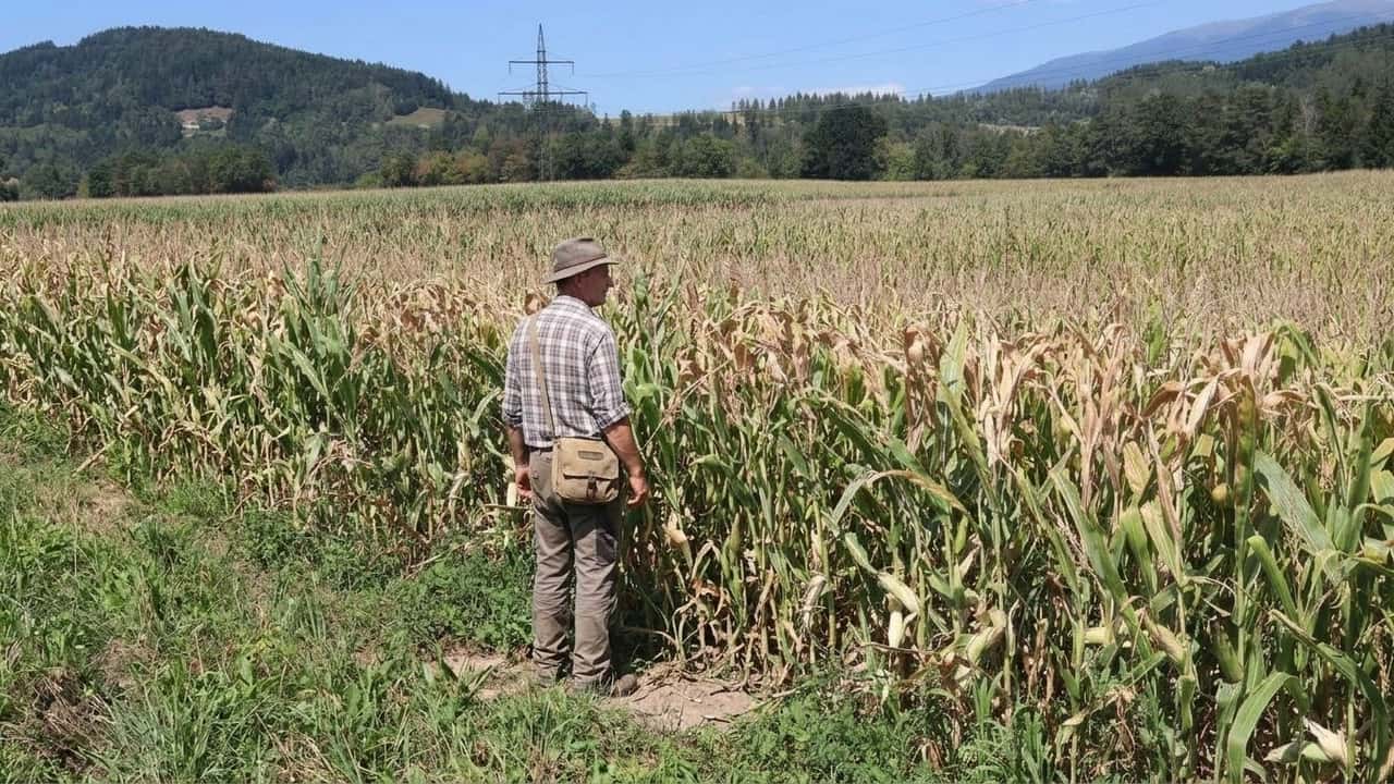 sussidi-concentrati-il-10-prende-il-56-degli-aiuti-in-austria