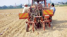 Organizzazione del cantiere per reimpianto di vite tardivo con corretta sequenza di lavorazioni, scelta delle trattrici, gestione irrigua e manutenzione 