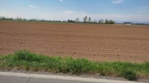Vendita terreni agricoli: quando non si pagano le tasse