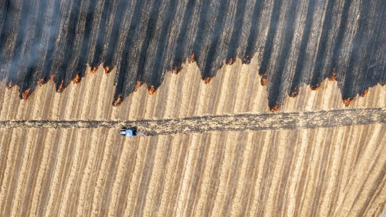 Incendio mietitrebbia in campo di grano: tutte le cause da conoscere