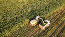 Settaggio pneumatici VF su trinciacaricatrici: misure, pressioni e carichi
