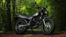 2022 Yamaha TW200 - Woods