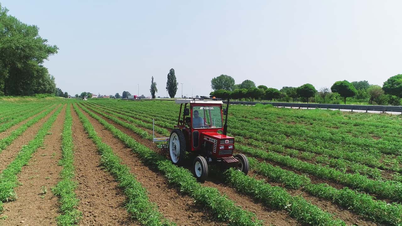 Topcom: nuove funzioni 2024 per l'agricoltura di precisione
