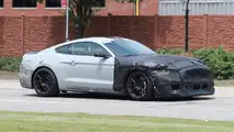 2019 Shelby Mustang GT500 Spy Photos