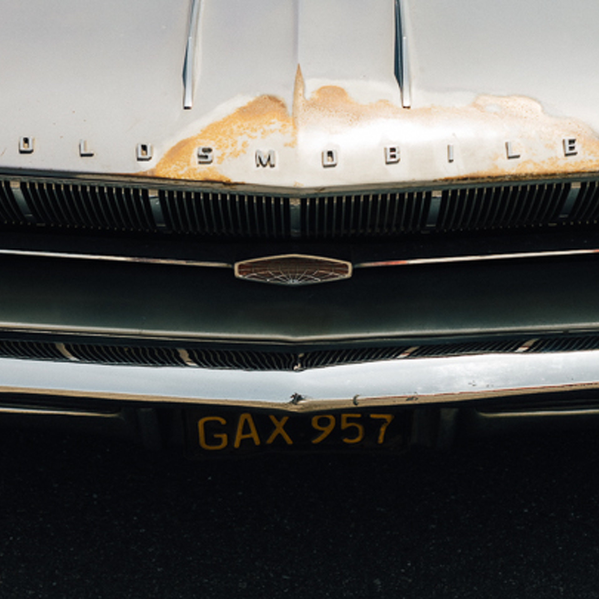 Let Your Imagination Run Wild At Auctions America