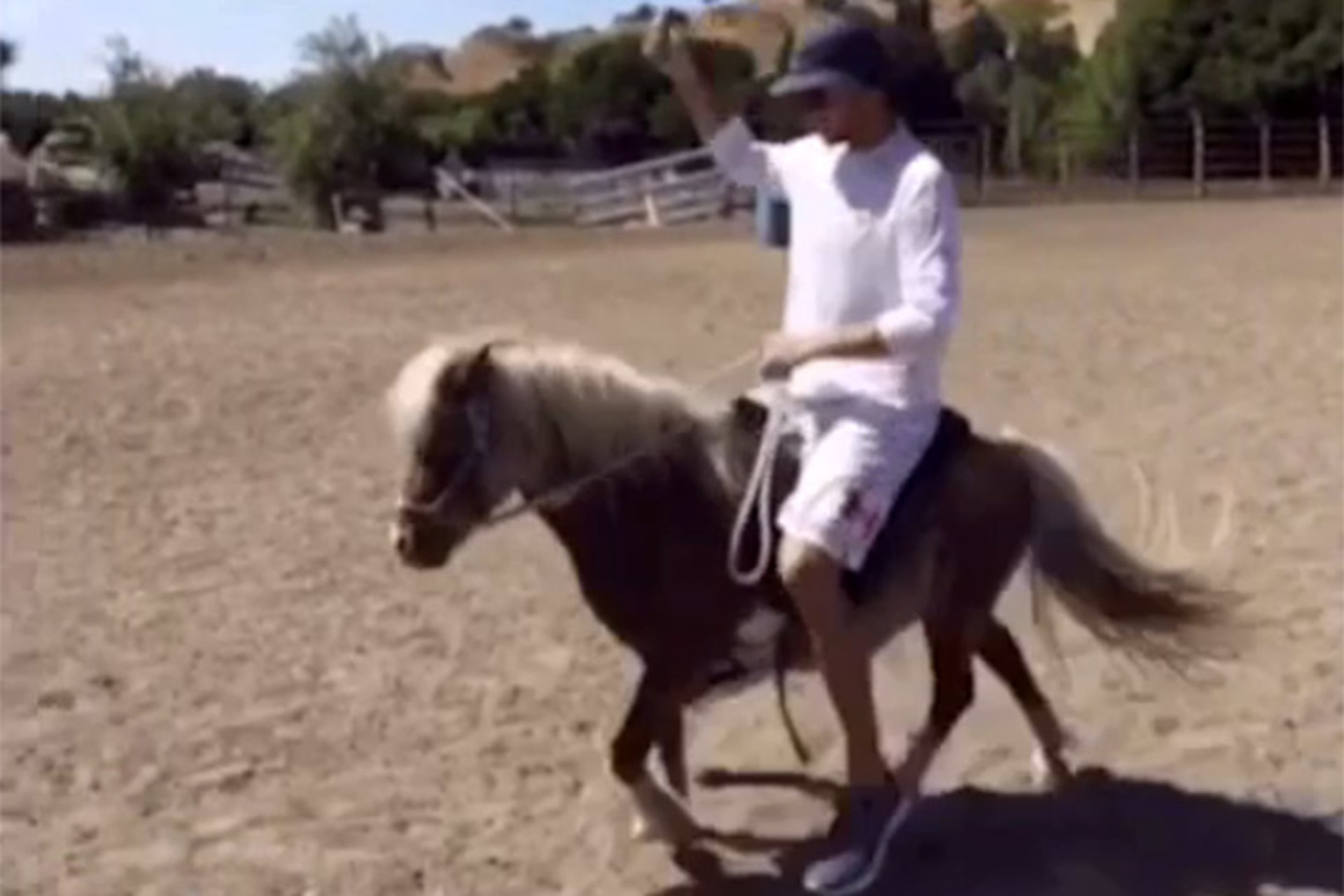 Its The Weekend Heres Steph Curry Riding A Mini Horse