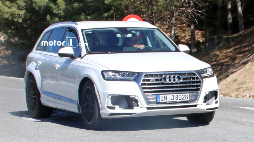 Audi Q8 test mule