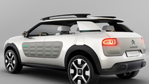 Citroen Cactus concept leaked photo 04.9.2013