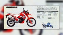 Suzuki DR800 Big