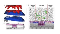 Rust Can Become A New Way Of Generating Electricity