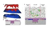 Rust Can Become A New Way Of Generating Electricity