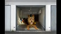 Pimp your Garage