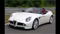 Elegante Spider-Studie