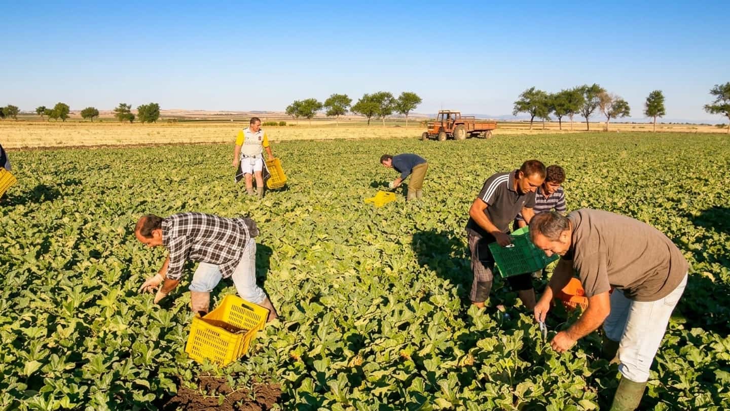 Nuovo contratto agricolo, tutele per operai e florovivaisti