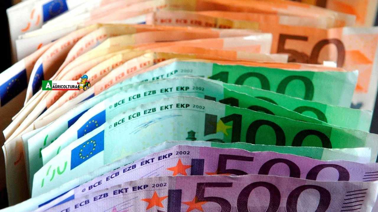 Tasse e Fisco: il regime Iva per l'agricoltura