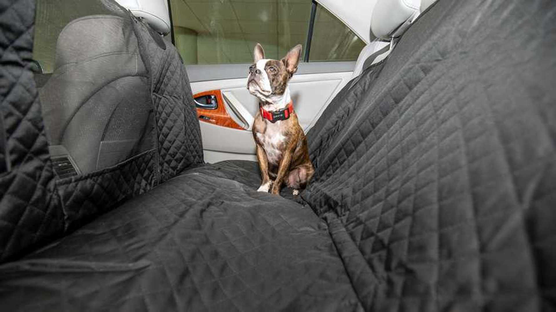 Best Dog Seat Covers Review (2022)