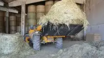 JCB LOADALL 531-70 AGRI PRO Dual Tech VT 