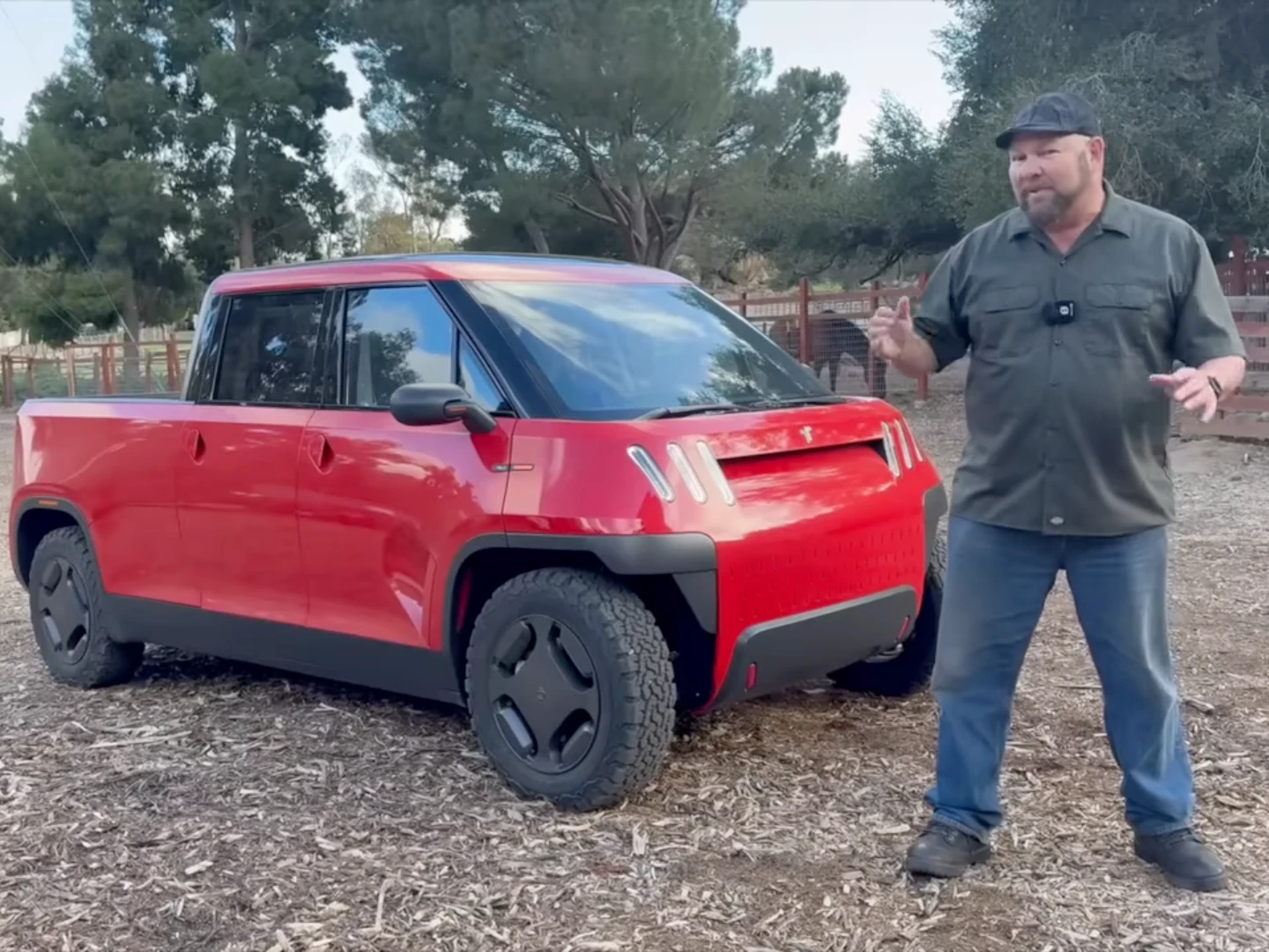 telo looks limited Edition red レッド ルックス