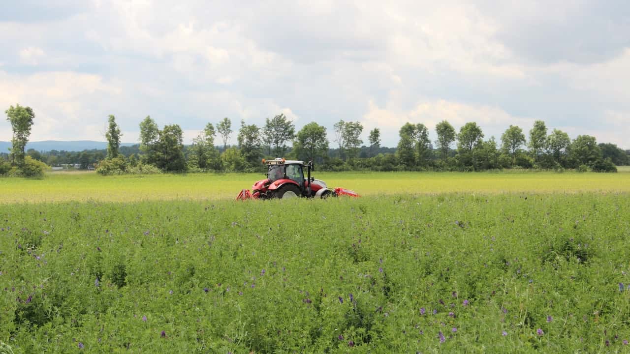 UE: fondi da 430 milioni di € per l'agricoltura