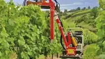 Slopehelper: robot agricolo elettrico per la viticoltura