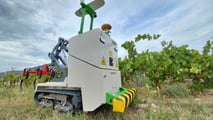 12Steps: la protezione robotica delle colture in Italia