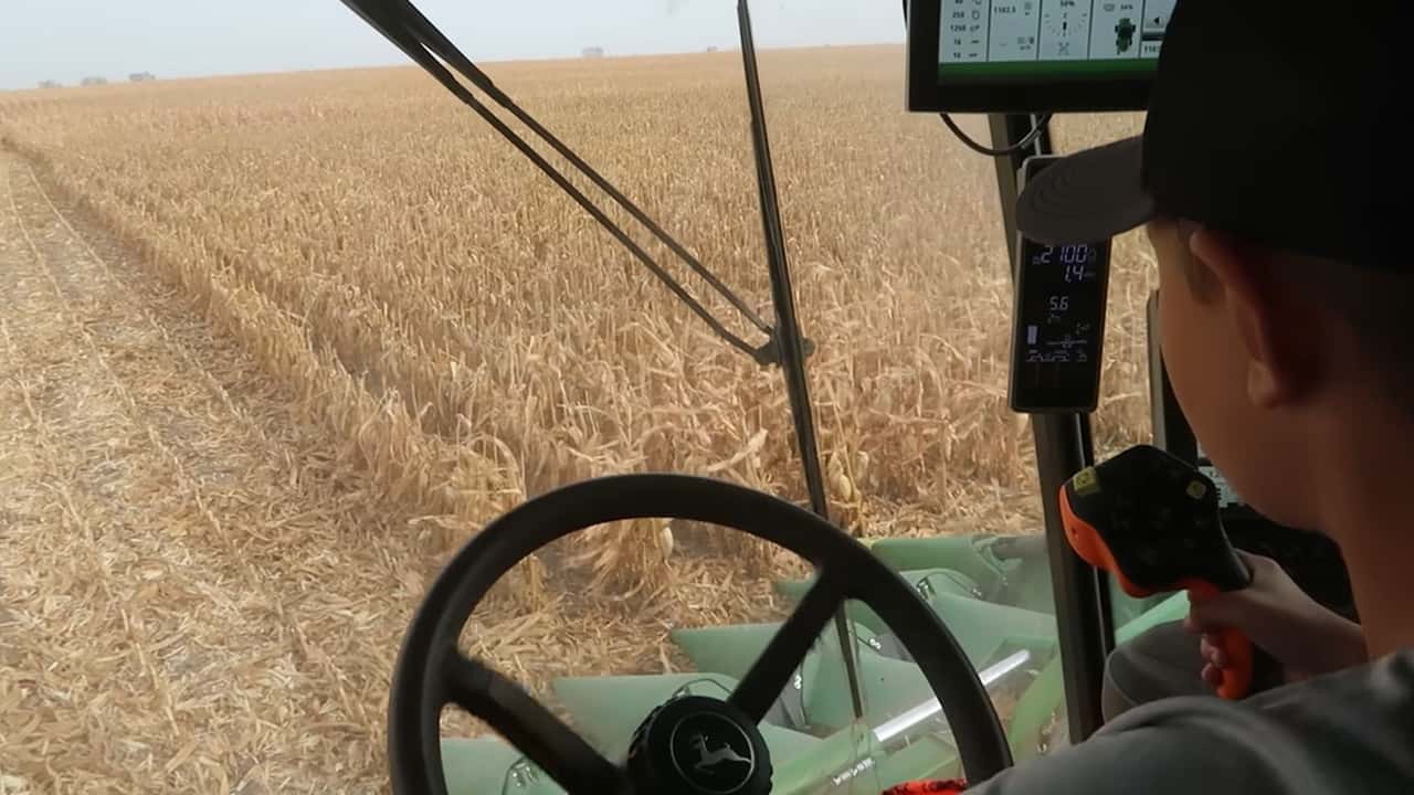 Giovani agricoltori under 35: calano ma reggono meglio