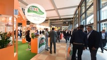 Macfrut 2026: ortofrutta italiana e export globale