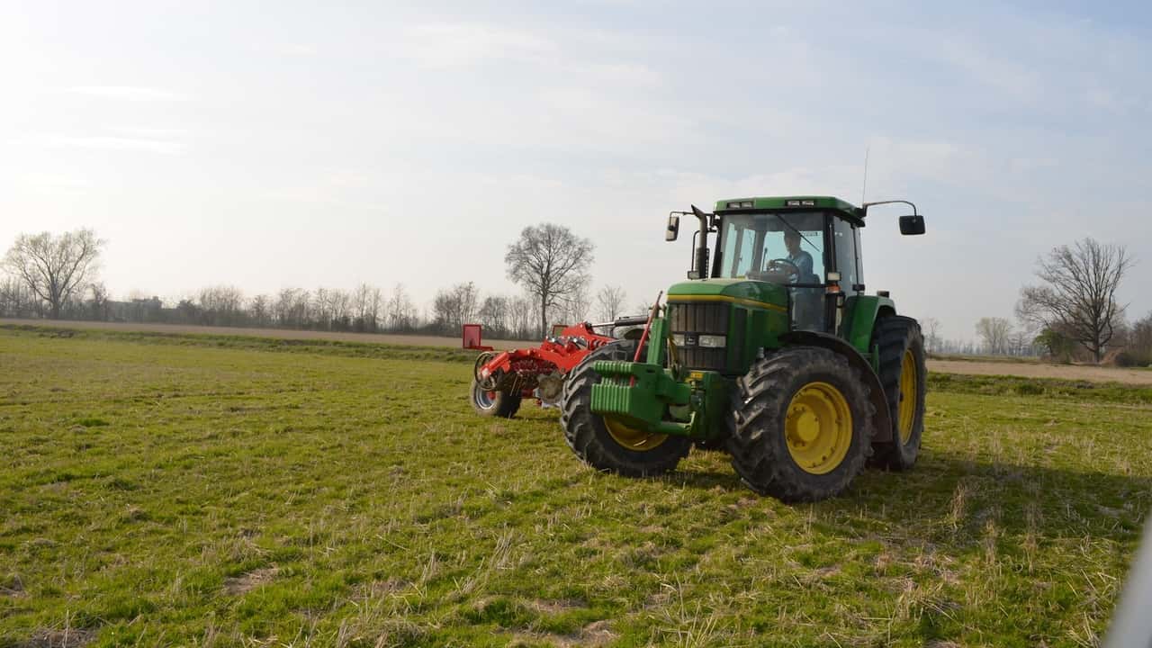 Terreni agricoli a under 41: bando Ismea aperto