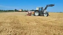 Strip till per soia: preparare il letto di semina solo in fila
