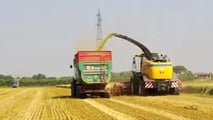 Contributi INAIL agricoltura: sconto di quasi 5 punti
