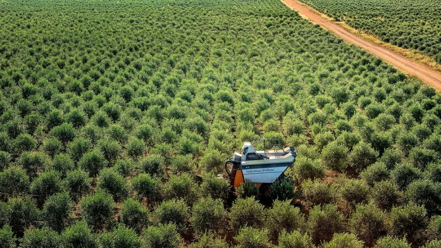 Coltiva Italia, cosa cambia davvero per il settore primario