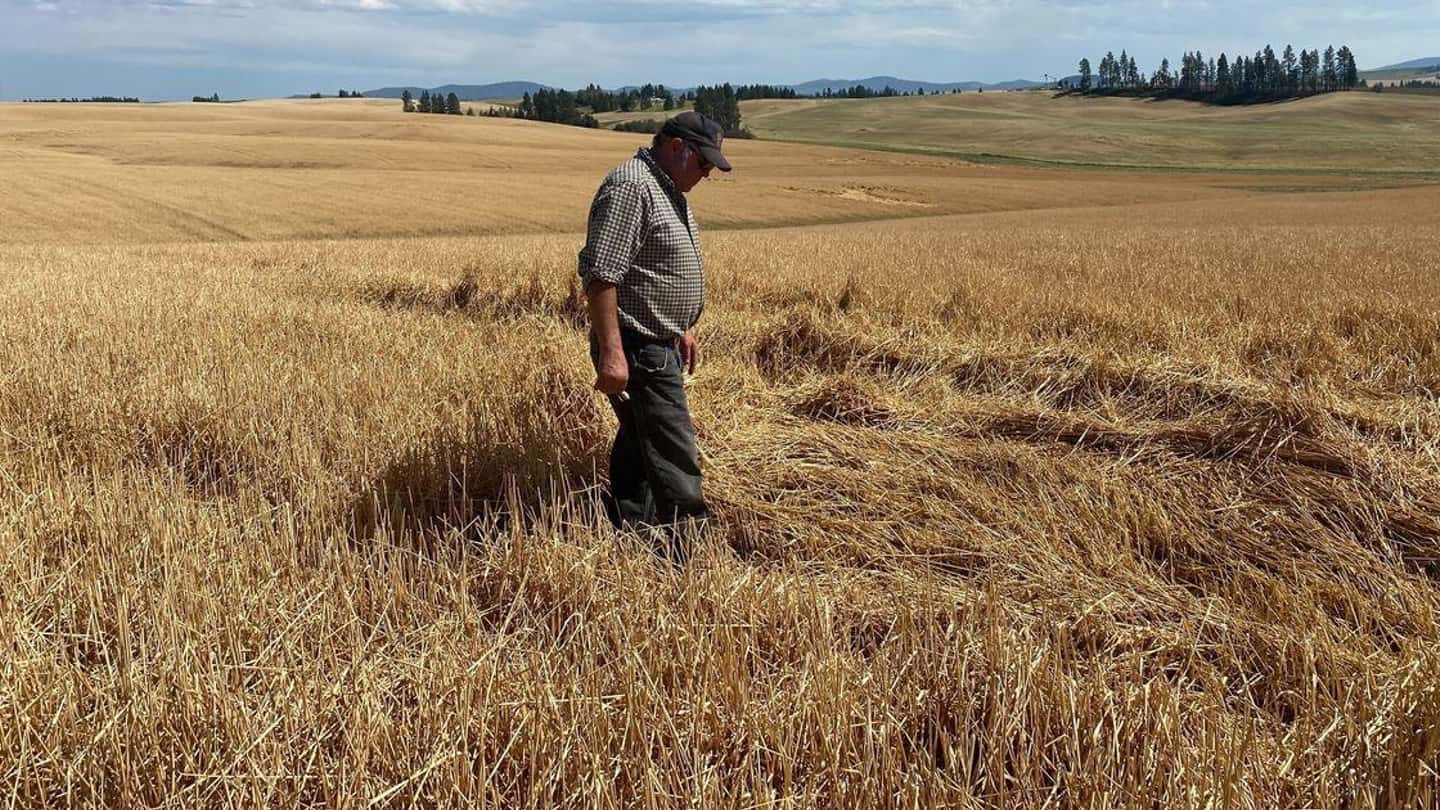 Come costruire il piano assicurativo agricolo 2026 passo passo