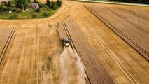 Grano duro a 270-300 euro/t e costi a 1.170 euro/ha: la mietitura 2026 è in perdita. CUN, Coldiretti in piazza e filiere a rischio.