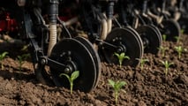 Attrezzature, taratura e integrazione con lavorazioni conservative per distribuire geoinsetticidi in banda lungo la fila colturale in modo preciso e sicuro