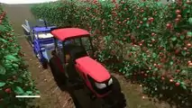 kubota14