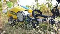 Caffini GrassKiller15
