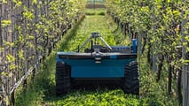 Fieldrobotics: Hammerhead, il robor per vigneto a Enovitis in Campo 2024