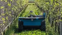 Fieldrobotics: Hammerhead, il robor per vigneto a Enovitis in Campo 2024