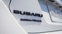 Serie Subaru 2020. WRX bianco