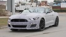 2019 Ford Mustang GT500 casus fotoğraf