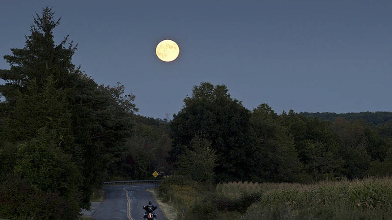 <em>Photo by Tom Bushey</em>