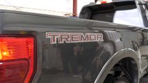 Ford 7.3-Liter Dyno Screenshot
