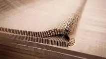 Plancher de coffre en papier EcoSport