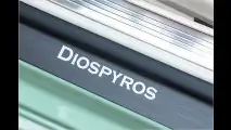 Diospyros: Minzgrünes Ungetüm