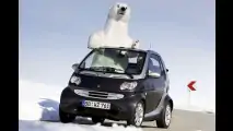 Smart-Sondermodelle