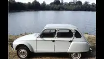 Luxus-Ente