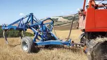 Raptor e Predator Di Raimondo