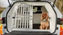 Skoda-Modelle als Polizeifahrzeuge: Großbritannien