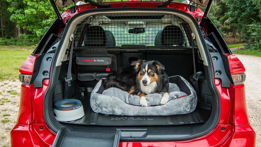 Nissan Paw Pack