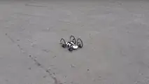 Hem havada hem karada gidebilen drone